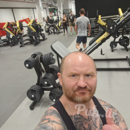 Рыжий кот, 42