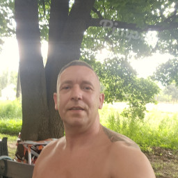 Kiwi, 42